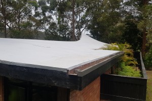 new membrane installed 1